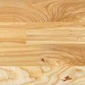 Northern Ash